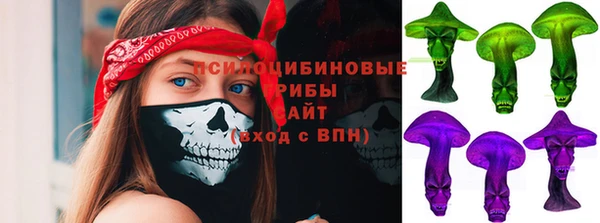 гидропоника Вязьма