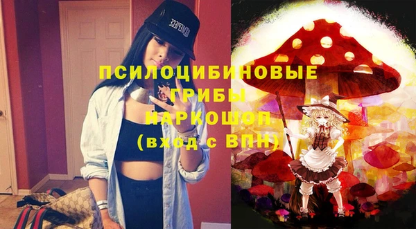 гидропоника Вязьма