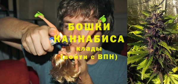 бошки Вяземский