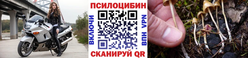 Галлюциногенные грибы MAGIC MUSHROOMS Татарск